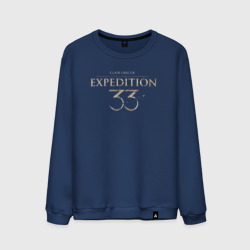 Мужской свитшот хлопок Clair Obsur expedition 33 logo