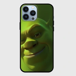 Чехол для iPhone 13 Pro Max Лицо Шрека крупно ухмылка