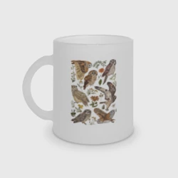 Кружка матовая стеклянная Разные совы и цветы