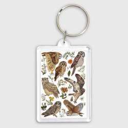 Брелок прямоугольный 35*50 Разные совы и цветы