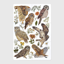Магнитный плакат 2Х3 Разные совы и цветы