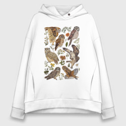 Женское худи Oversize хлопок Разные совы и цветы