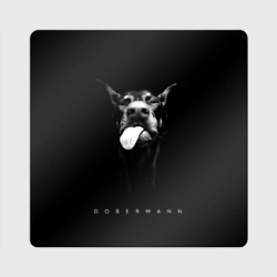 Магнит виниловый Квадрат Dobermann head