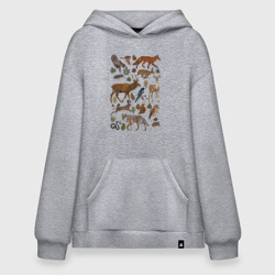 Худи SuperOversize хлопок Лесные животные и птицы