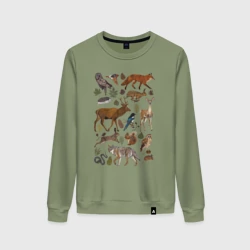 Женский свитшот хлопок Лесные животные и птицы