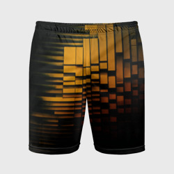 Мужские шорты спортивные Квантовый переход