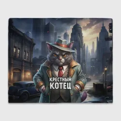Плед 3D Злой крестный котец