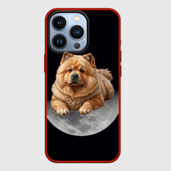 Чехол для iPhone 13 Pro Чау-чау палевый и луна