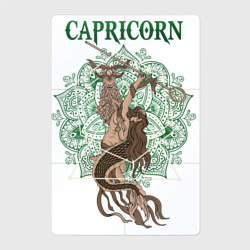 Магнитный плакат 2Х3 Козерог Capricorn винтаж 