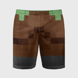 Мужские шорты спортивные Алекса Minecraft низ