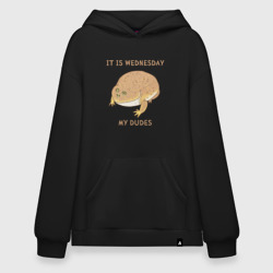 Худи SuperOversize хлопок Жаба из мема среда мои чуваки