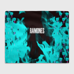 Плед 3D Ramones fire rose