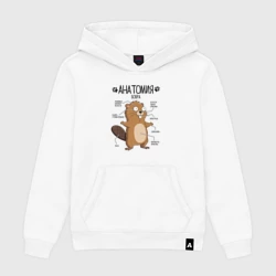 Женская толстовка хлопок Анатомия бобра