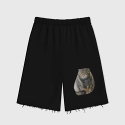 Женские шорты oversize футер хлопок Манул кот