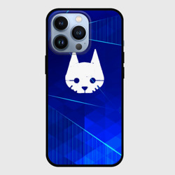 Чехол для iPhone 13 Pro Stray blue poly