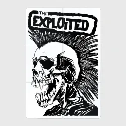 Магнитный плакат 2Х3 The exploited skull