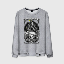 Мужской свитшот хлопок Deftones owl