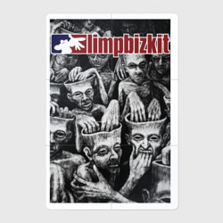 Магнитный плакат 2Х3 Limp Bizkit - new old songs