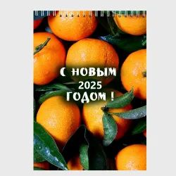 Скетчбук Много апельсинов мандаринов: с новым 2025 годом