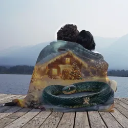 Плед 3D Большая змея на фоне  новогоднего дома - фото 2