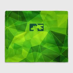 Плед 3D Limp Bizkit green poly