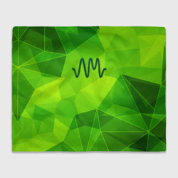 Плед 3D Arctic Monkeys green poly