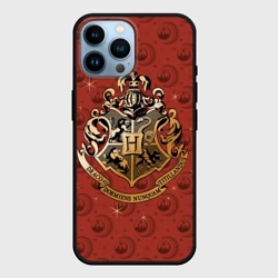 Чехол для iPhone 14 Pro Max Факультеты Хогвартса