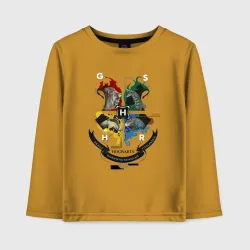 Детский лонгслив хлопок Hogwarts School of Witchcraft and Wizardry