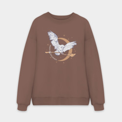 Мужской свитшот oversize без начеса хлопок Сова Гарри Поттера