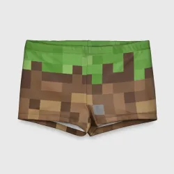 Детские купальные плавки 3D Earth - Minecraft
