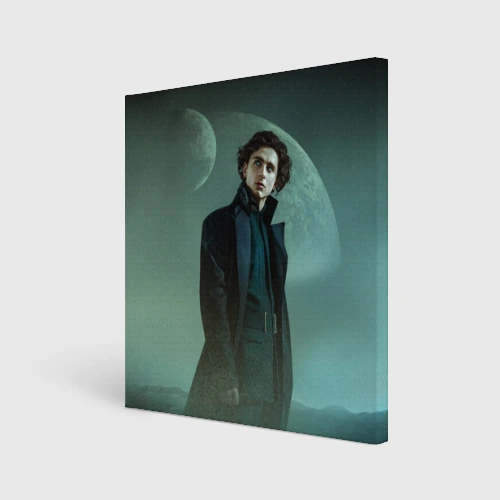 Холст квадратный Timothee Chalamet in the desert