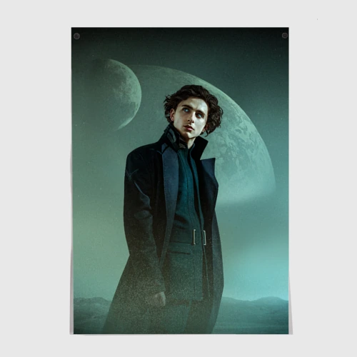 Постер Timothee Chalamet in the desert
