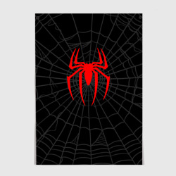 Постер Логотип паука на фоне паутины косплей костюм Моралеса чёрный 
