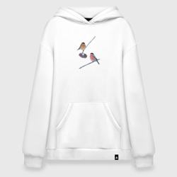 Худи SuperOversize хлопок Снегири на ветке рябины