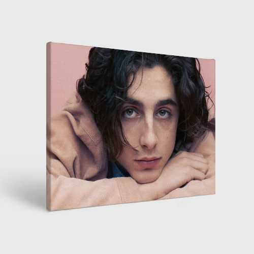 Холст прямоугольный Timothe Chalamet on a pink background