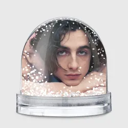 Игрушка Снежный шар Timothe Chalamet on a pink background
