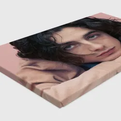 Холст прямоугольный Timothe Chalamet on a pink background - фото 2