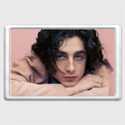 Магнит 45*70 Timothe Chalamet on a pink background