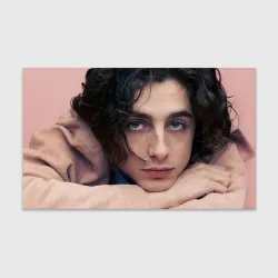 Бумага для упаковки 3D Timothe Chalamet on a pink background