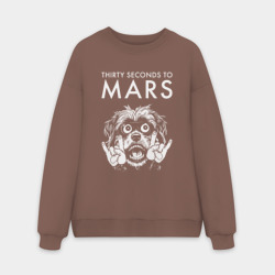 Мужской свитшот oversize без начеса хлопок Thirty Seconds to Mars rock dog