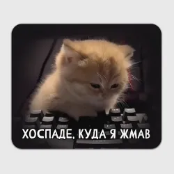 Прямоугольный коврик для мышки Куда я жмав - офисный кот