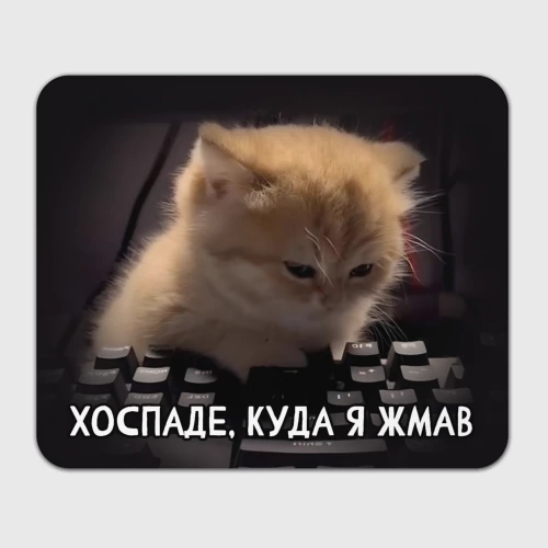 Прямоугольный коврик для мышки Куда я жмав - офисный кот