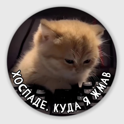 Круглый коврик для мышки Хоспаде, куда я жмав котик на клавиатуре