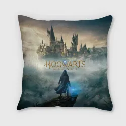Подушка 3D Герой Hogwarts legacy