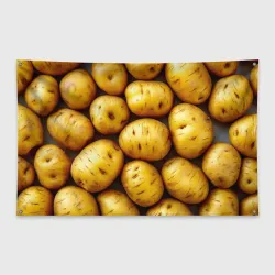 Флаг-баннер Белый картофель