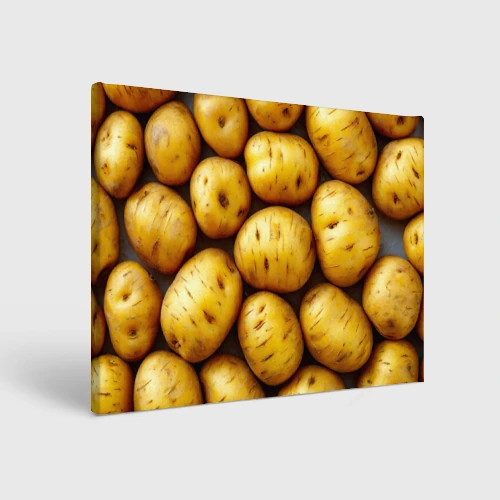 Холст прямоугольный Белый картофель