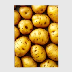 Постер Белый картофель