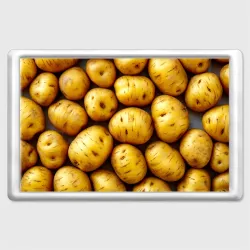 Магнит 45*70 Белый картофель