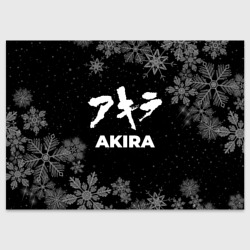 Поздравительная открытка Снежный Akira