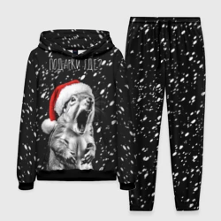 Мужской костюм с толстовкой 3D Белка в гневе - где подарки